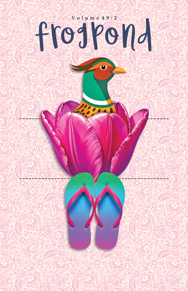 issue 49-2 cover